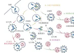 @lI,Y┡Dlo厺炘?Mj┳嗴g阺?%噬Y拯'涡?謑硏鷜V嚪N袧?的简单介绍-九游娱乐APP
